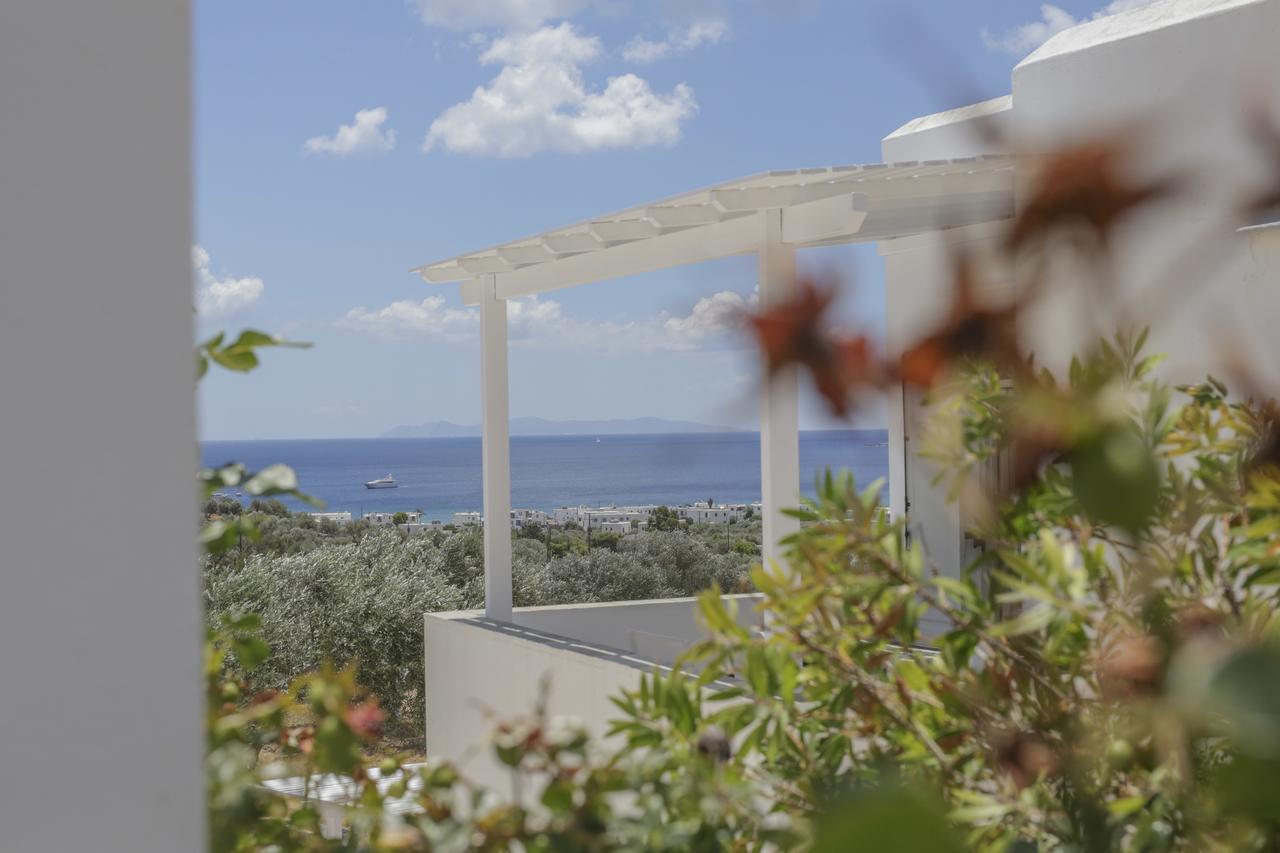 Ferienwohnung Ktima Vrisiana Platis Gialos  Exterior foto